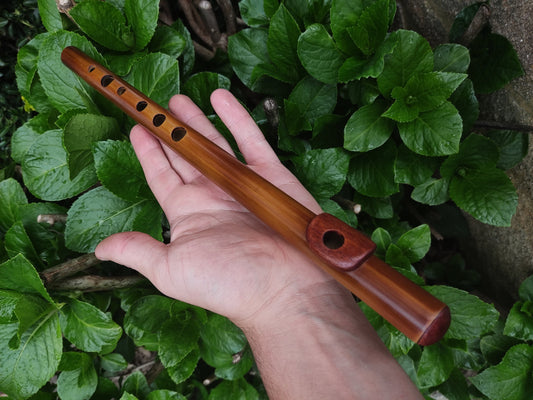Bamboo Flute In C5 major (soprano) with African Mahogany lip plate and cap.