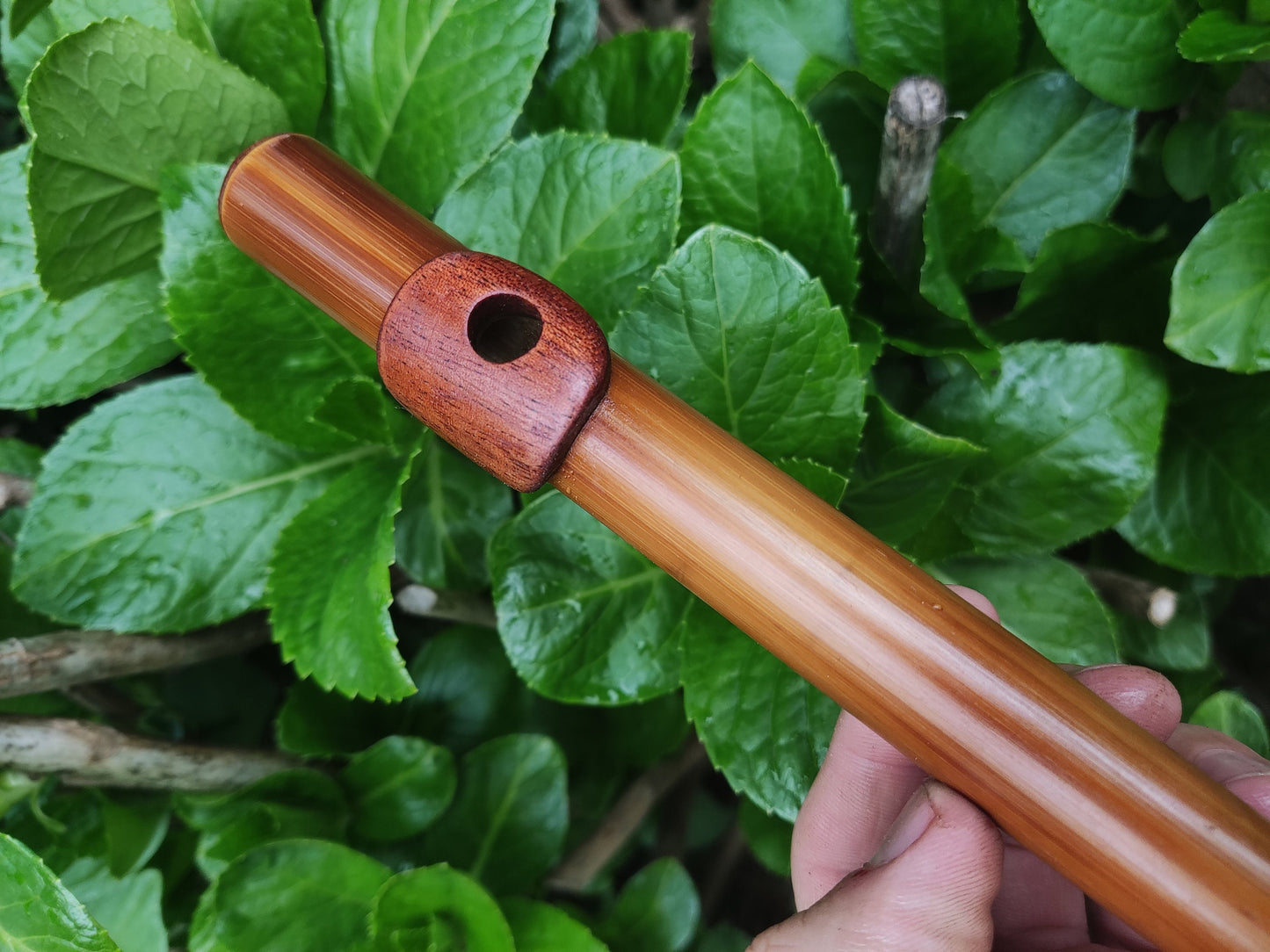Bamboo Flute In C5 major (soprano) with African Mahogany lip plate and cap.