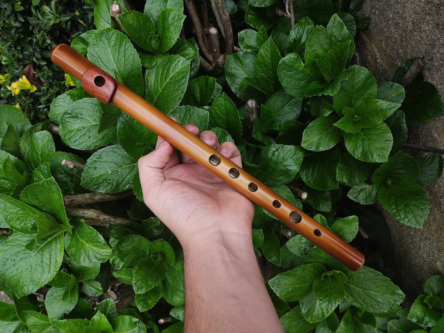 Bamboo Flute In C5 major (soprano) with African Mahogany lip plate and cap.