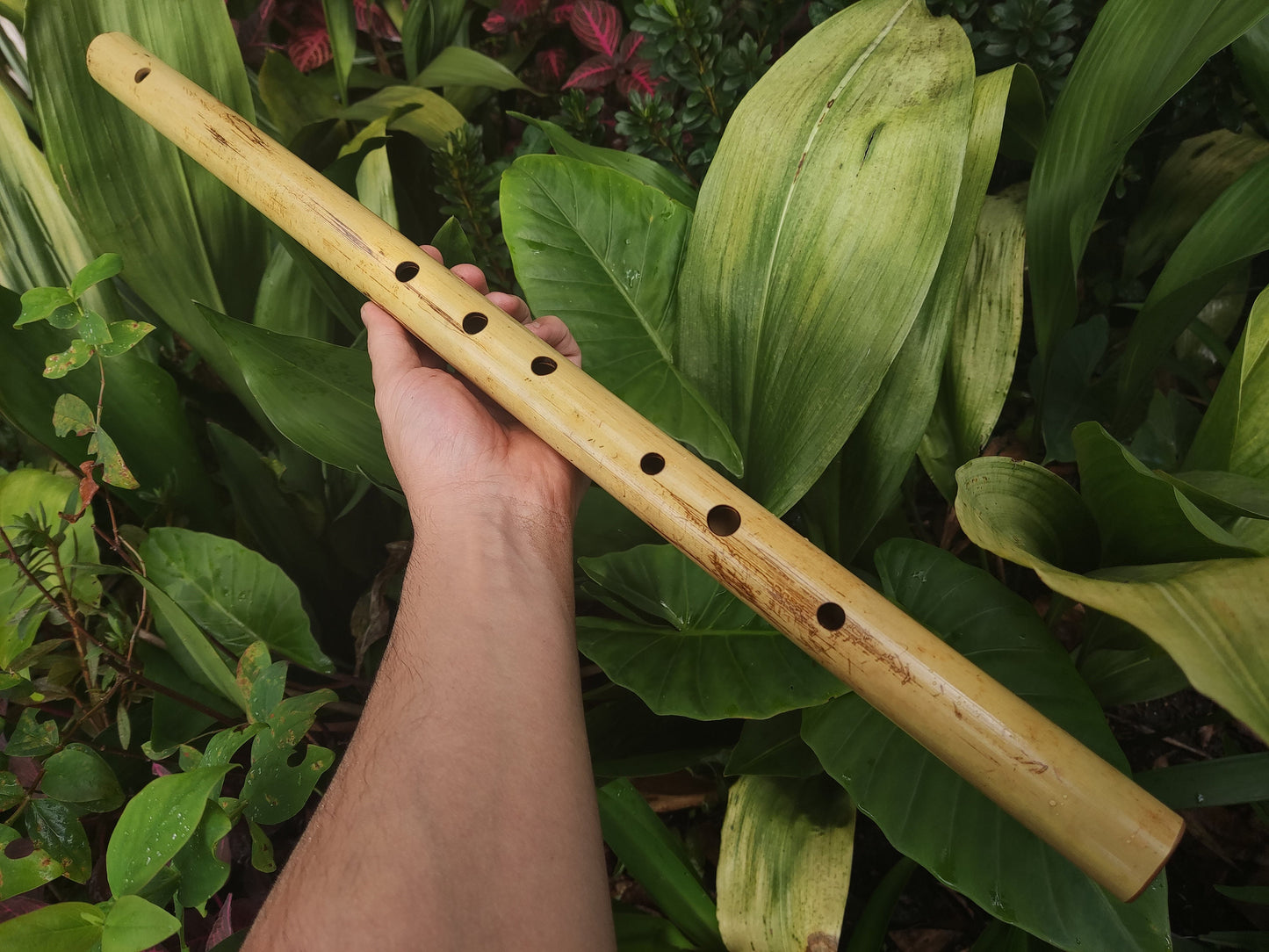 Low C major Flute, Handmade out of bamboo | Bansuri equivalent with a Deep, transporting voice | For Folk and world music | Rui Gomes