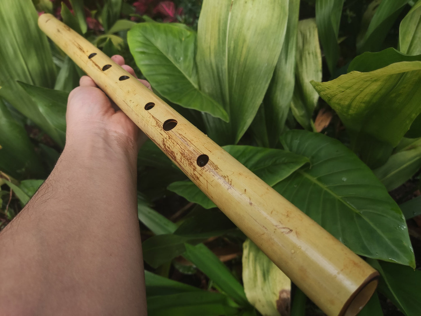 Low C major Flute, Handmade out of bamboo | Bansuri equivalent with a Deep, transporting voice | For Folk and world music | Rui Gomes