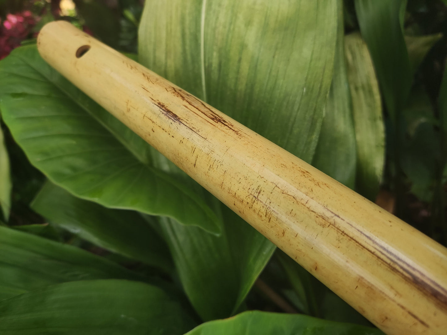 Low C major Flute, Handmade out of bamboo | Bansuri equivalent with a Deep, transporting voice | For Folk and world music | Rui Gomes