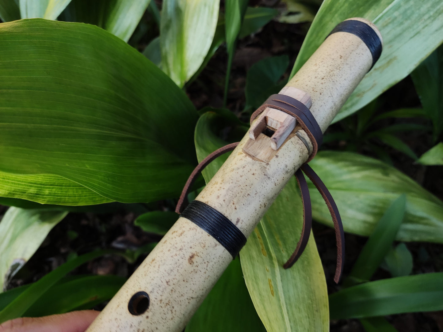 Native American Style Bamboo Flute in the key of A 440Hz | A Minor pentatonic scale with a Rustic look | Intuitive instrument | Rui Gomes
