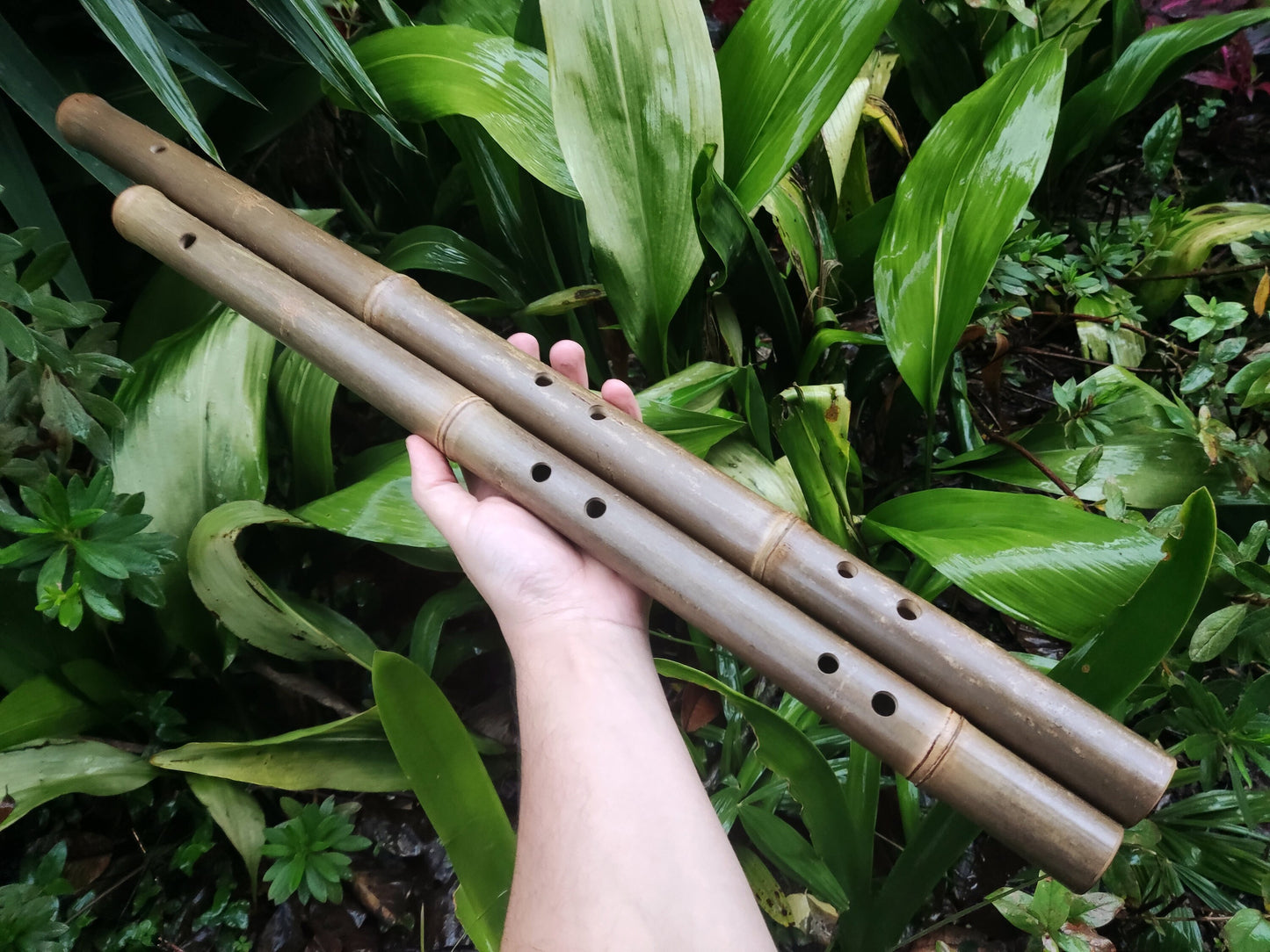 Akebono Bamboo Flute in low C & D for Deep Meditation and Minfulness | Quality handcrafted sound healing tool with local bamboo | Rui Gomes