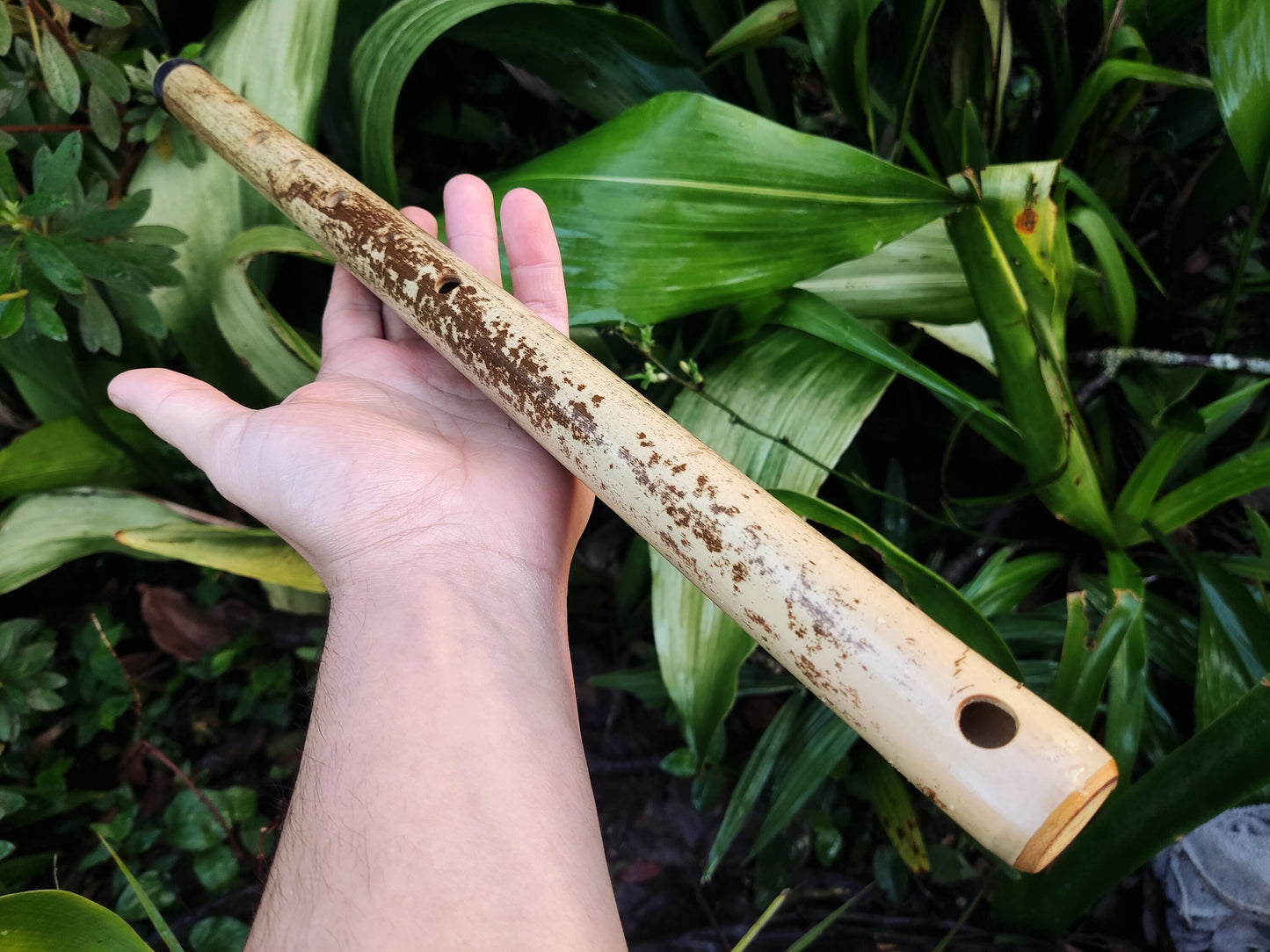 Arabian style Bamboo Flute in the key of low E, with a Rustic look, for deep meditation in an ethnic middle eastern Hijaz karr scale