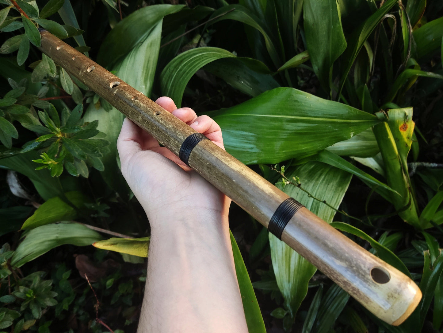 Aeolian Bamboo Flute: Natural Minor scale, Intuitive Transverse Flute, Handmade for Meditation and beginner friendly. Various keys
