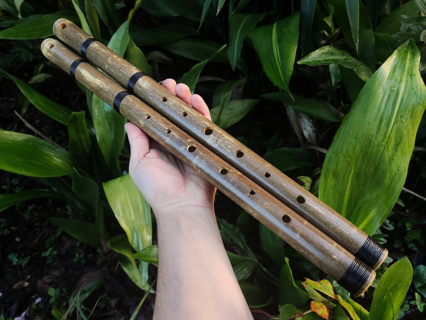 Aeolian Bamboo Flute: Natural Minor scale, Intuitive Transverse Flute, Handmade for Meditation and beginner friendly. Various keys