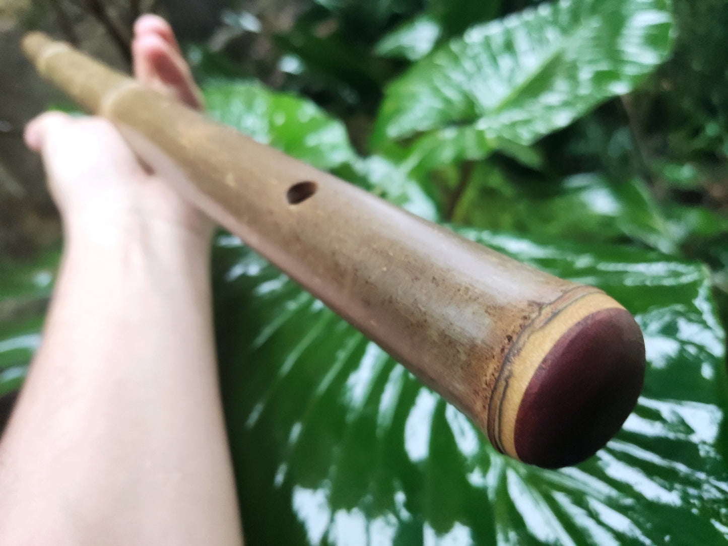 Akebono Bamboo Flute in low C & D for Deep Meditation and Minfulness | Quality handcrafted sound healing tool with local bamboo | Rui Gomes