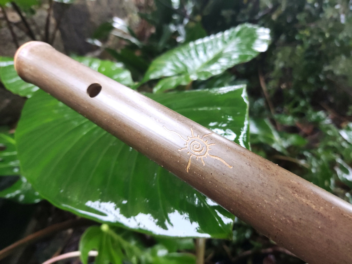 Akebono Bamboo Flute in low C & D for Deep Meditation and Minfulness | Quality handcrafted sound healing tool with local bamboo | Rui Gomes