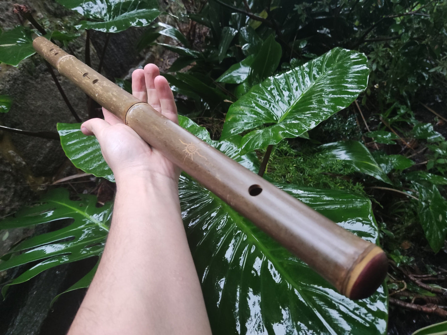 Akebono Bamboo Flute in low C & D for Deep Meditation and Minfulness | Quality handcrafted sound healing tool with local bamboo | Rui Gomes
