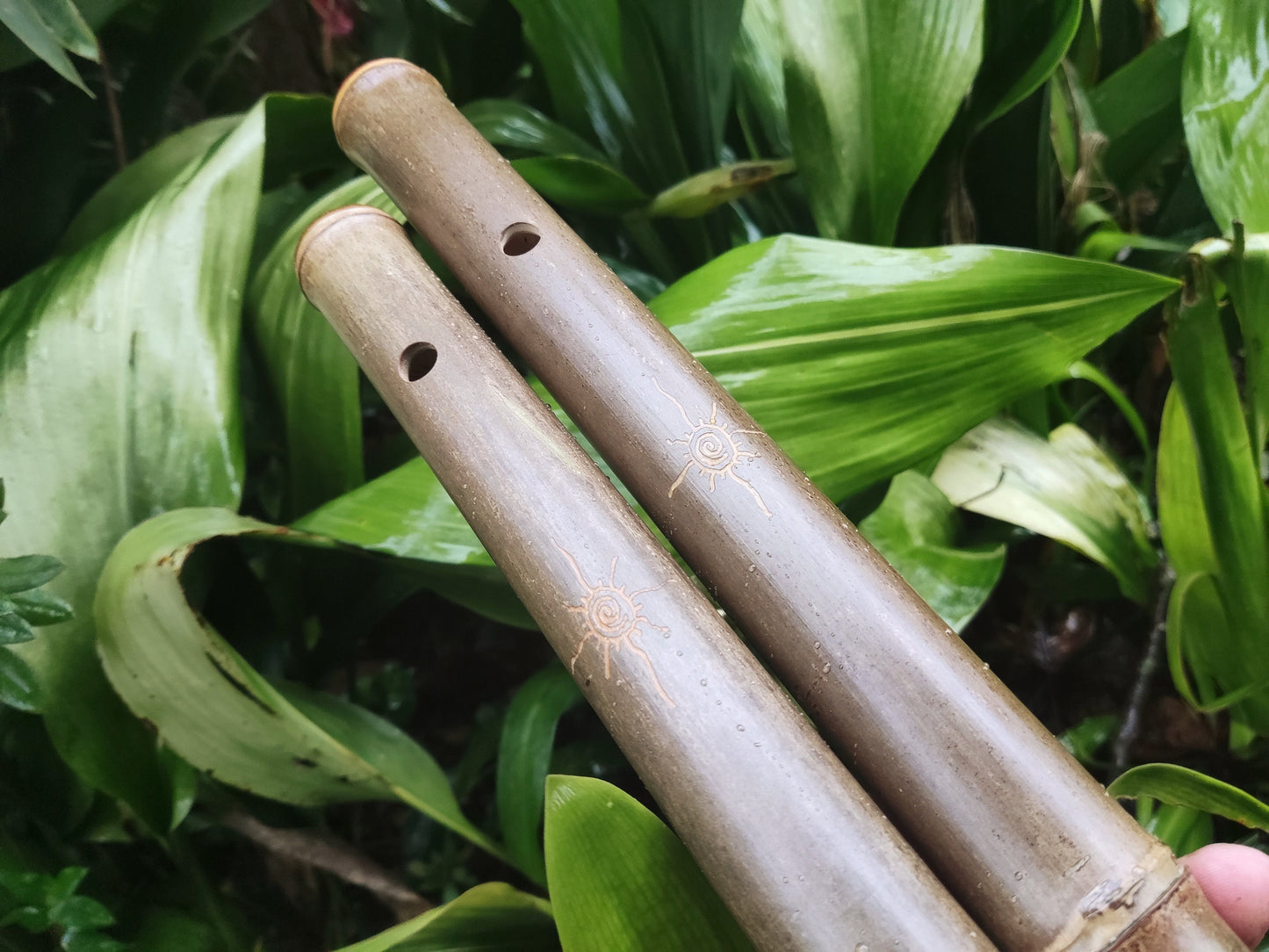 Akebono Bamboo Flute in low C & D for Deep Meditation and Minfulness | Quality handcrafted sound healing tool with local bamboo | Rui Gomes