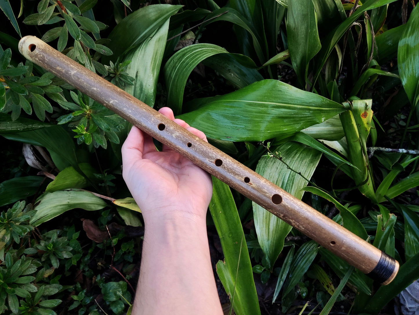 Arabian style Bamboo Flute in the key of low E, with a Rustic look, for deep meditation in an ethnic middle eastern Hijaz karr scale