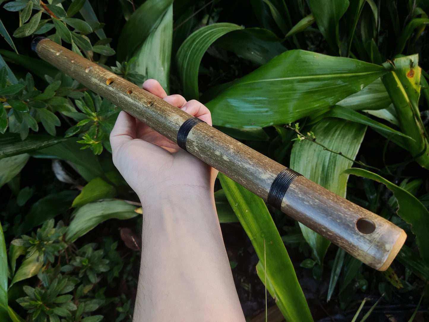 Aeolian Bamboo Flute: Natural Minor scale, Intuitive Transverse Flute, Handmade for Meditation and beginner friendly. Various keys