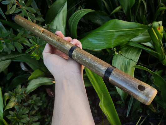 Aeolian Bamboo Flute: Natural Minor scale, Intuitive Transverse Flute, Handmade for Meditation and beginner friendly. Various keys