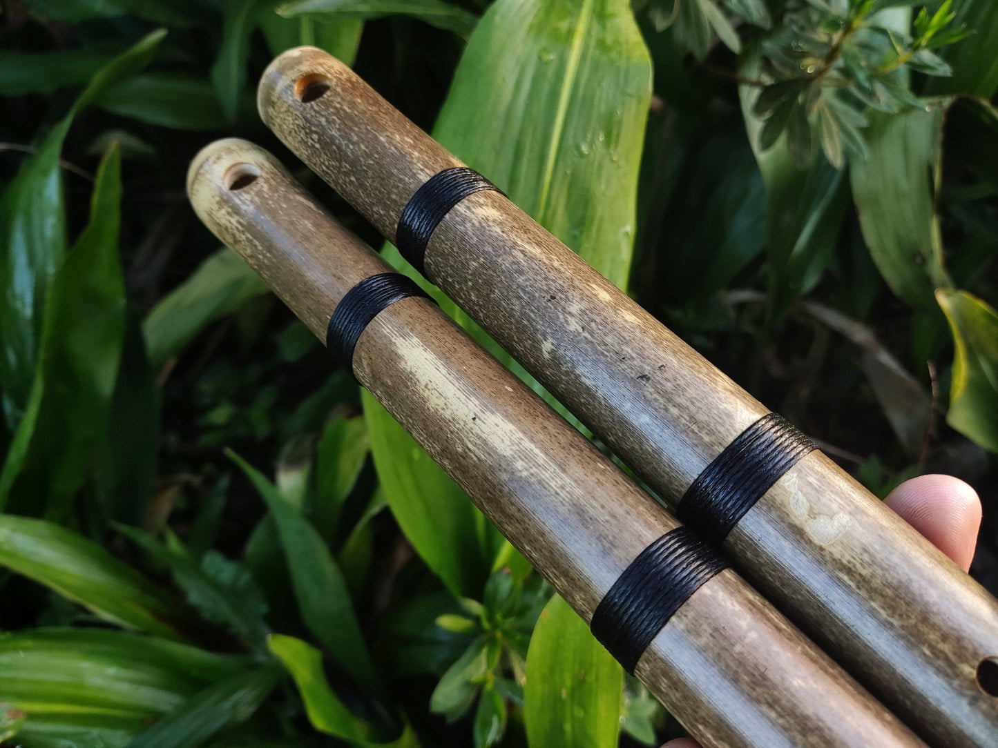 Aeolian Bamboo Flute: Natural Minor scale, Intuitive Transverse Flute, Handmade for Meditation and beginner friendly. Various keys