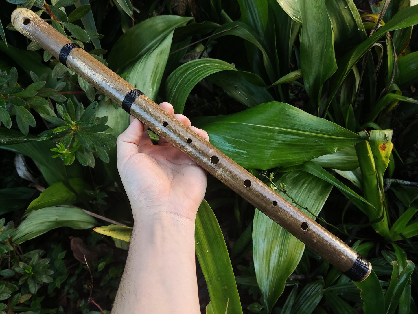 Aeolian Bamboo Flute: Natural Minor scale, Intuitive Transverse Flute, Handmade for Meditation and beginner friendly. Various keys