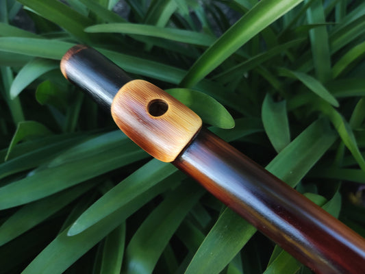 Bamboo Flute in the key of F Major concert tuned to A440. Handmade bamboo flute with lip plate | Transverse flute in F major | Rui Gomes