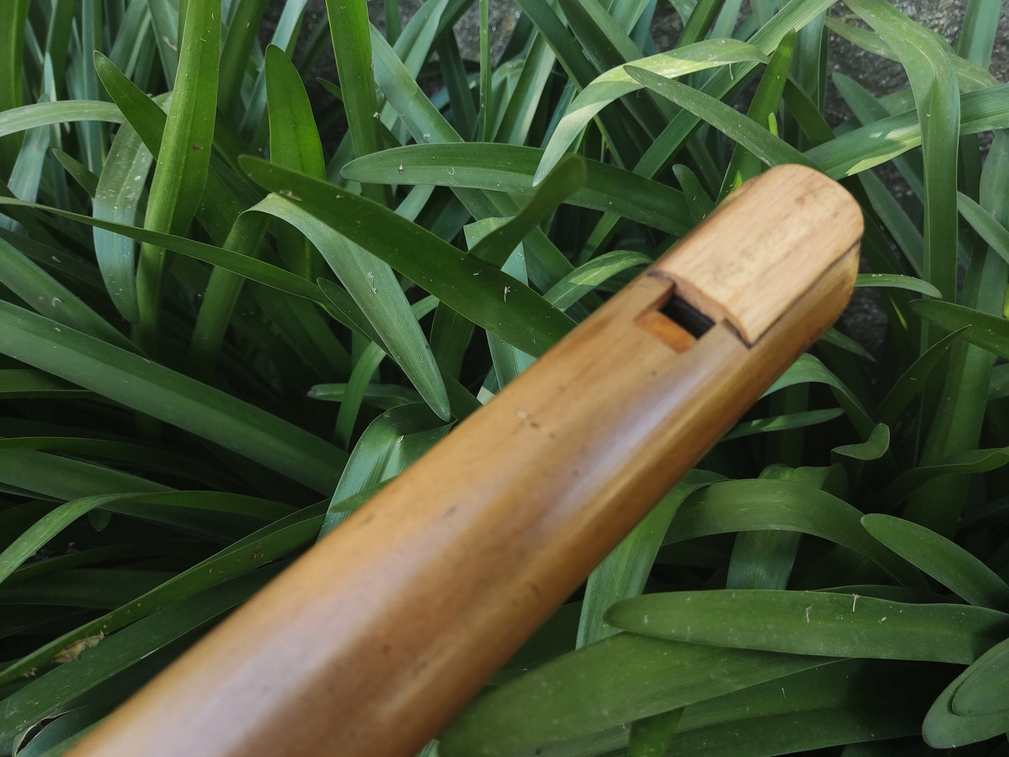 Low A sharp Whistle style Kokin Akebono Bamboo Flute