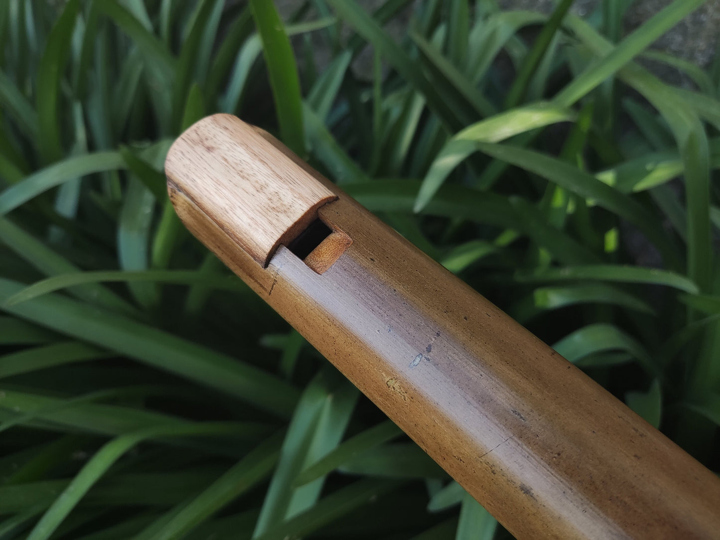 Low A sharp Whistle style Kokin Akebono Bamboo Flute