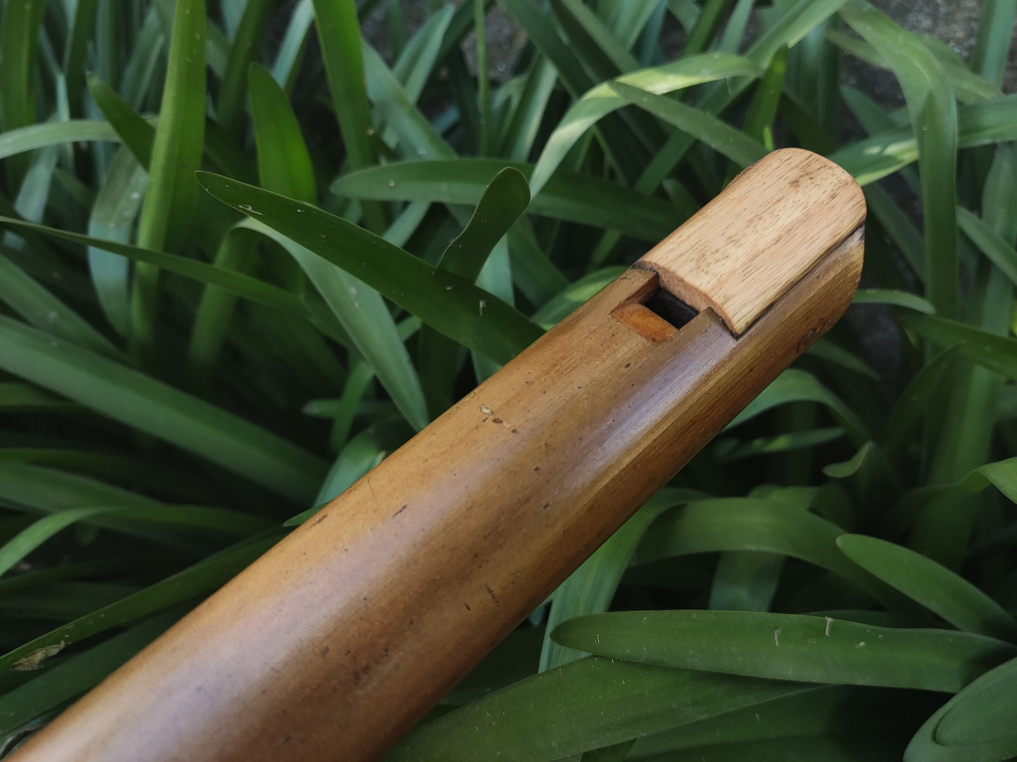 Low A sharp Whistle style Kokin Akebono Bamboo Flute