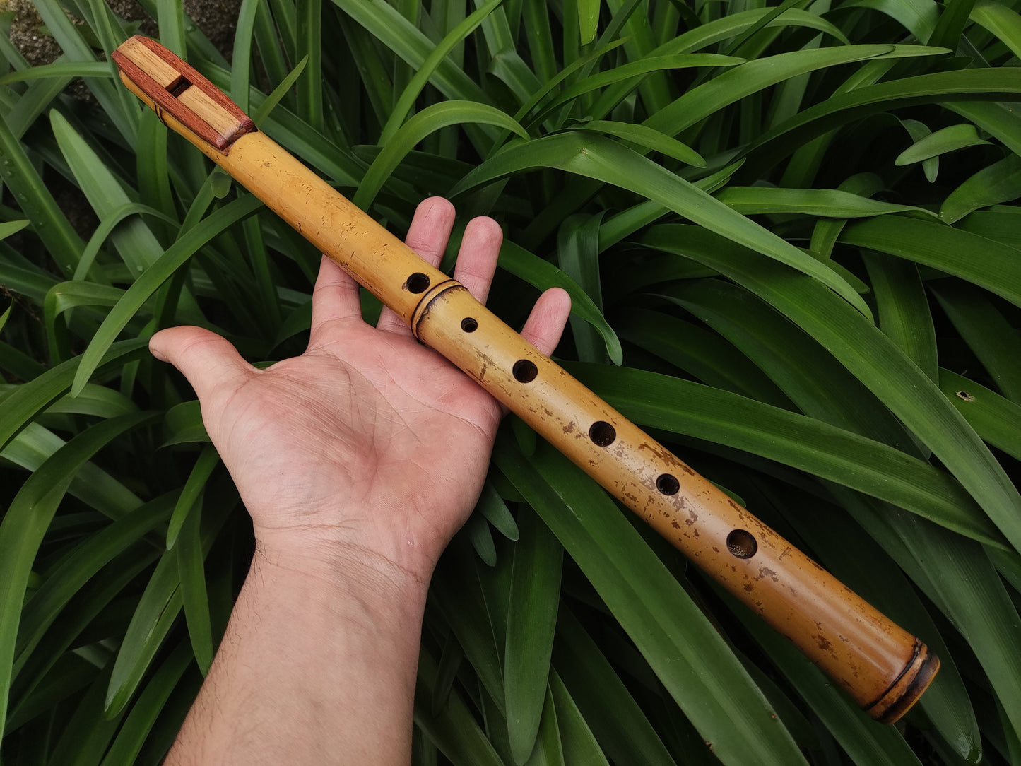 G Minor Harmonic Fipple Flute handmade out of Bamboo and reclaimed Mahogany and Chestnut. Intuitive flute | Sopro Flutes