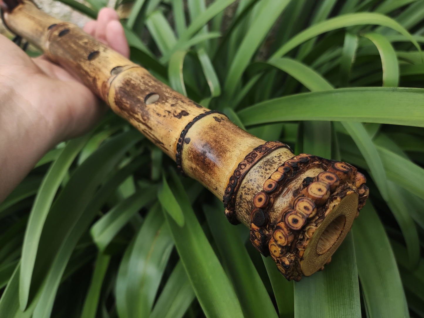Root End Native American Style Bamboo Flute in the key of F# in 440 Hz. Handmade bamboo flute suitable for Meditation and Sound Healing