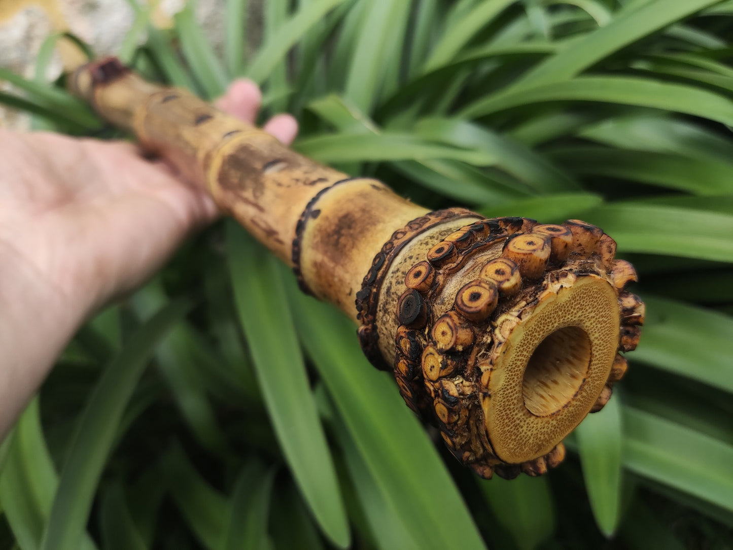 Root End Native American Style Bamboo Flute in the key of F# in 440 Hz. Handmade bamboo flute suitable for Meditation and Sound Healing