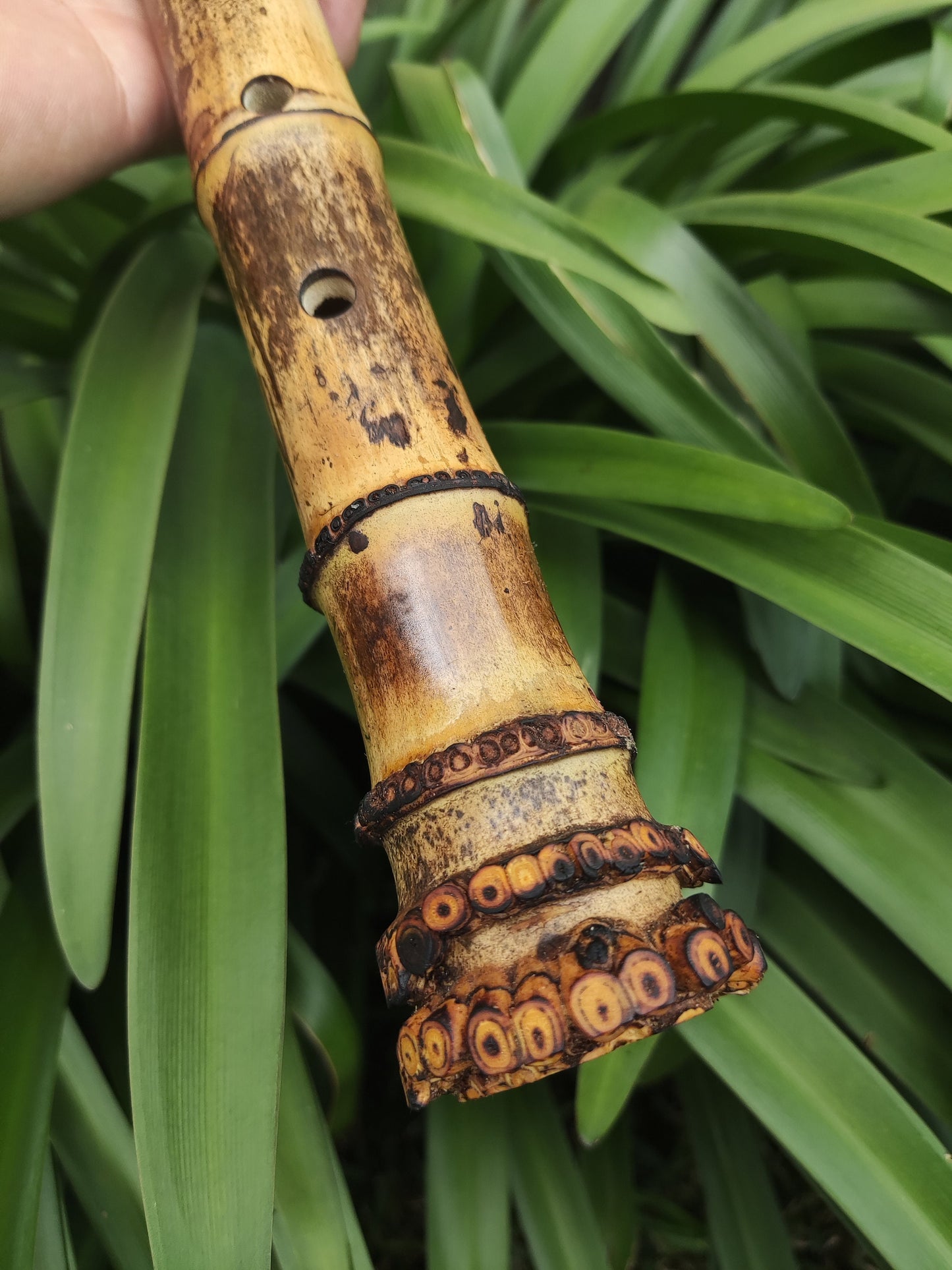 Root End Native American Style Bamboo Flute in the key of F# in 440 Hz. Handmade bamboo flute suitable for Meditation and Sound Healing