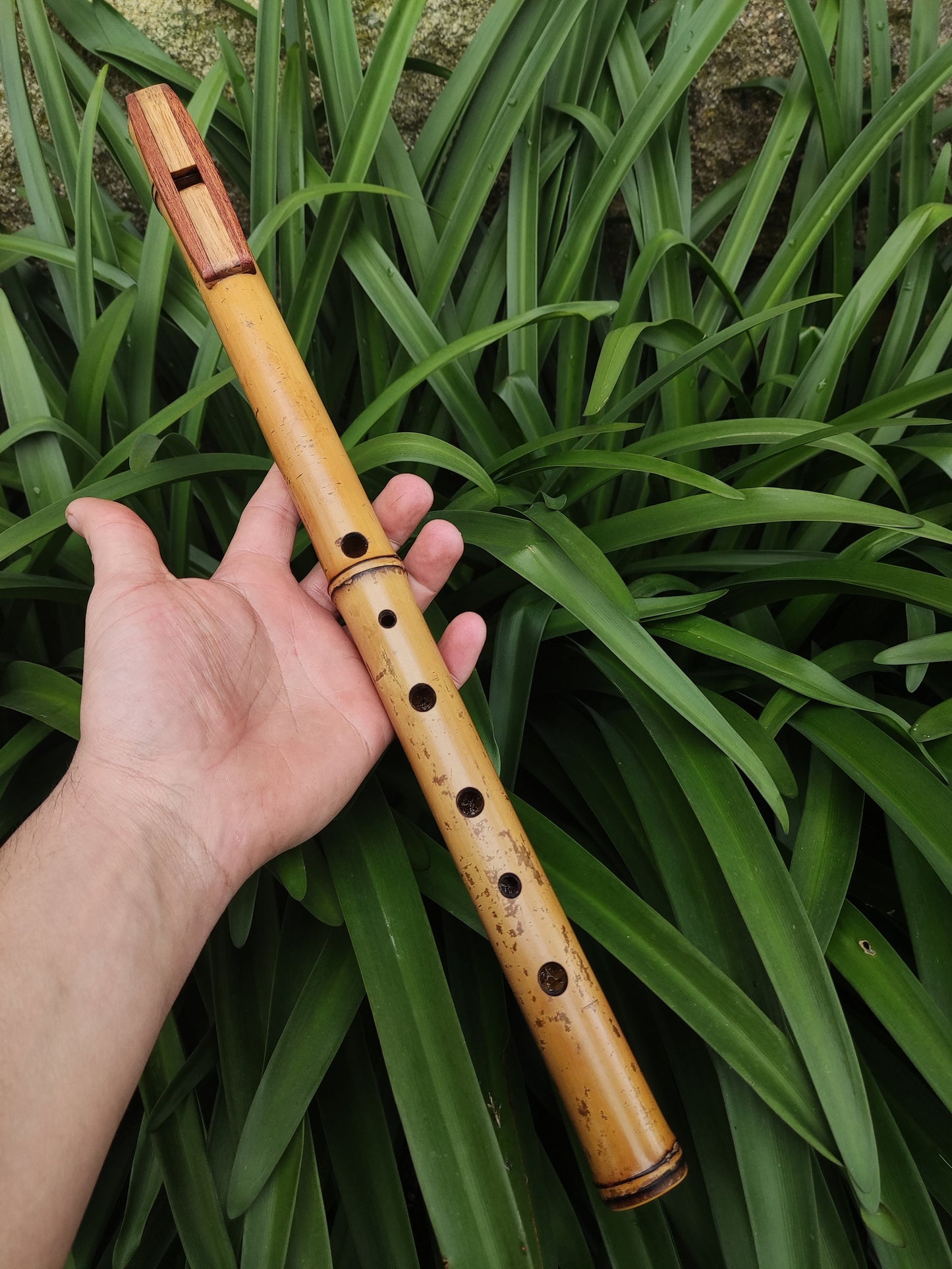 G Minor Harmonic Fipple Flute handmade out of Bamboo and reclaimed Mahogany and Chestnut. Intuitive flute | Sopro Flutes