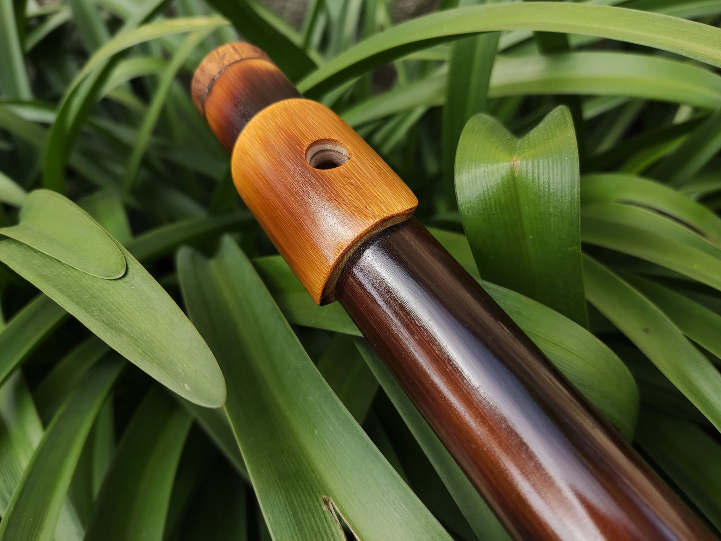 Bamboo Flute in the key of E Major concert tuned to A440. Handmade bamboo flute with lip plate | Sopro Flutes