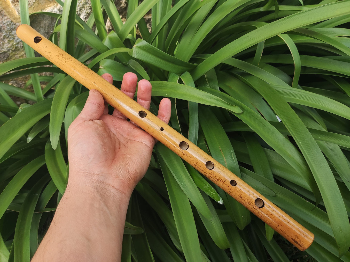 G Minor Harmonic Bamboo Flute, handmade Ethnic flute in the key of G Harmonic Minor. Ethnic small bansuri style Transverse flute | Rui Gomes