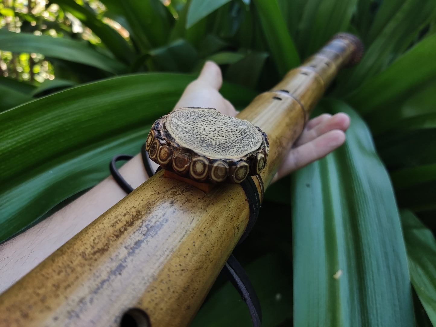 Unique Root-End Side Blown Native American Style Bamboo flute in C#. Rooty handmade bamboo flute for Meditation with rustic design