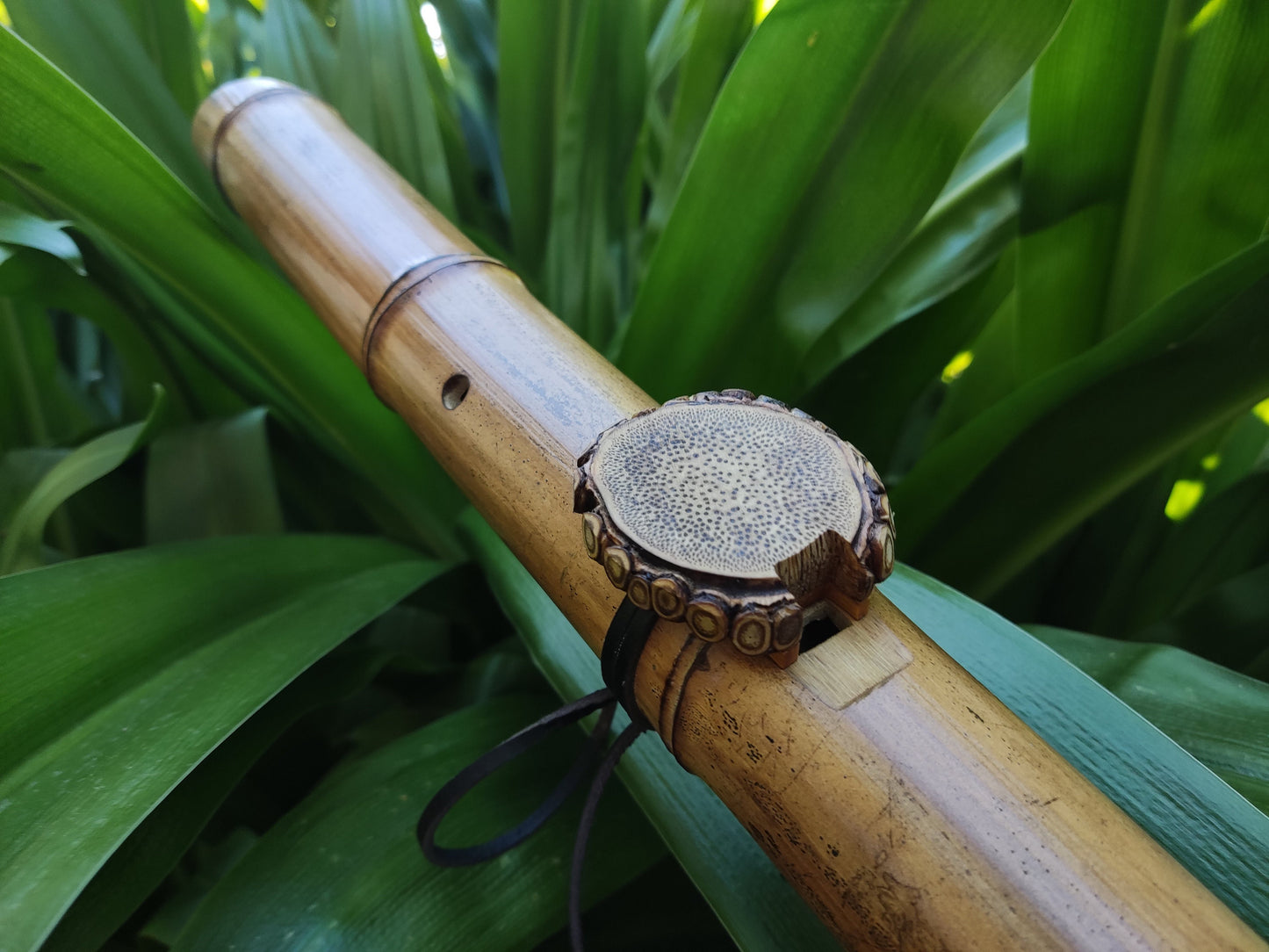 Unique Root-End Side Blown Native American Style Bamboo flute in C#. Rooty handmade bamboo flute for Meditation with rustic design