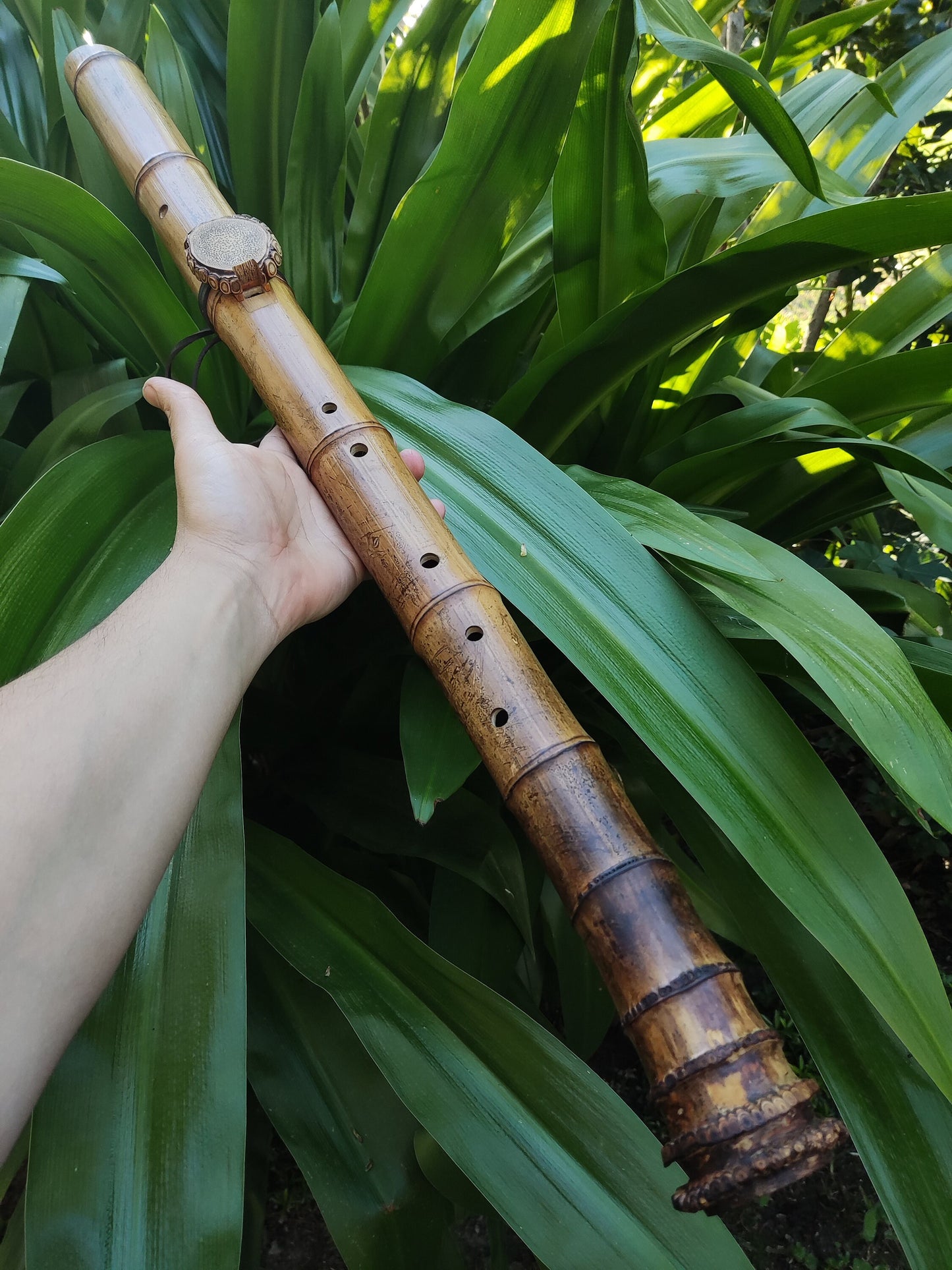 Unique Root-End Side Blown Native American Style Bamboo flute in C#. Rooty handmade bamboo flute for Meditation with rustic design