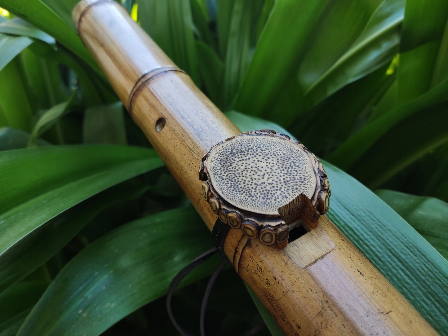 Unique Root-End Side Blown Native American Style Bamboo flute in C#. Rooty handmade bamboo flute for Meditation with rustic design