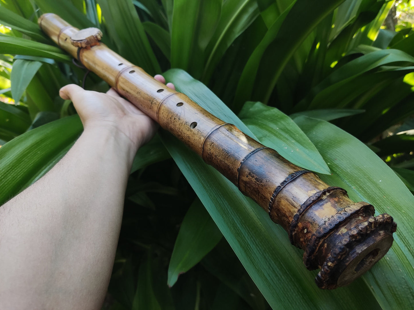 Unique Root-End Side Blown Native American Style Bamboo flute in C#. Rooty handmade bamboo flute for Meditation with rustic design