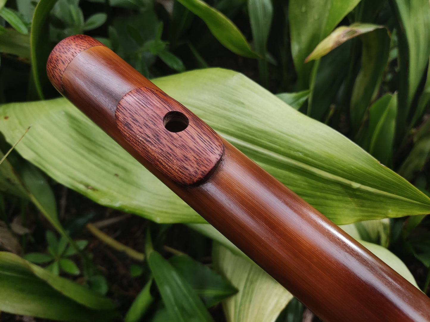 Bamboo flute in low C# tuned in a Minor Pentatonic scale. Handmade Meditative flute in C sharp minor pentatonic suitable for Sound healing.