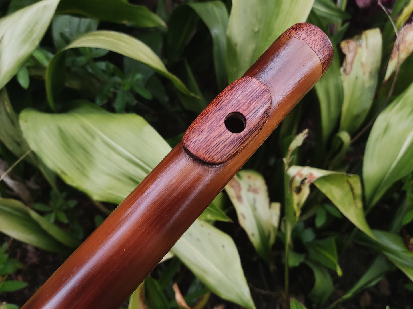 Bamboo flute in low C# tuned in a Minor Pentatonic scale. Handmade Meditative flute in C sharp minor pentatonic suitable for Sound healing.