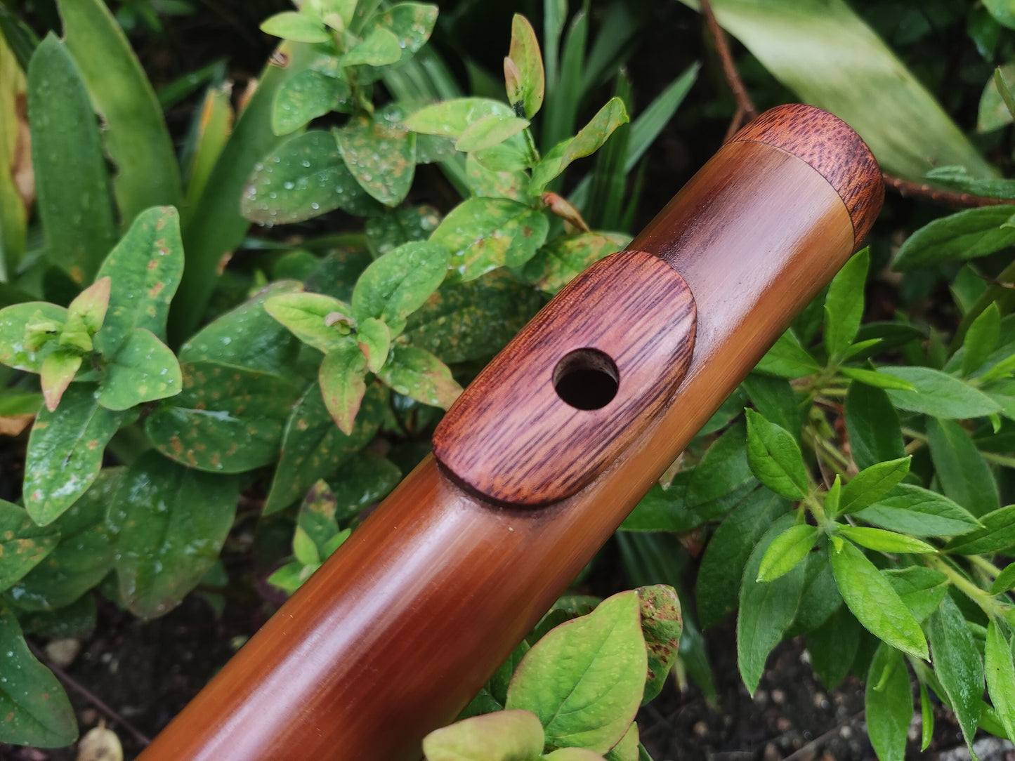 Bamboo flute in low C# tuned in a Minor Pentatonic scale. Handmade Meditative flute in C sharp minor pentatonic suitable for Sound healing.