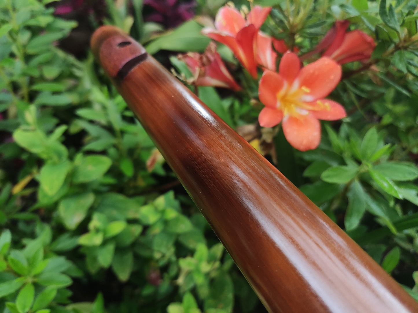 Bamboo flute in low C# tuned in a Minor Pentatonic scale. Handmade Meditative flute in C sharp minor pentatonic suitable for Sound healing.