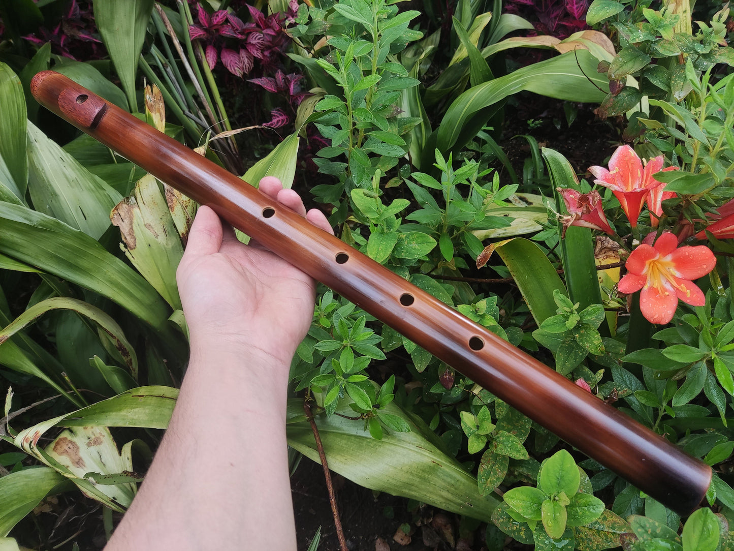 Bamboo flute in low C# tuned in a Minor Pentatonic scale. Handmade Meditative flute in C sharp minor pentatonic suitable for Sound healing.