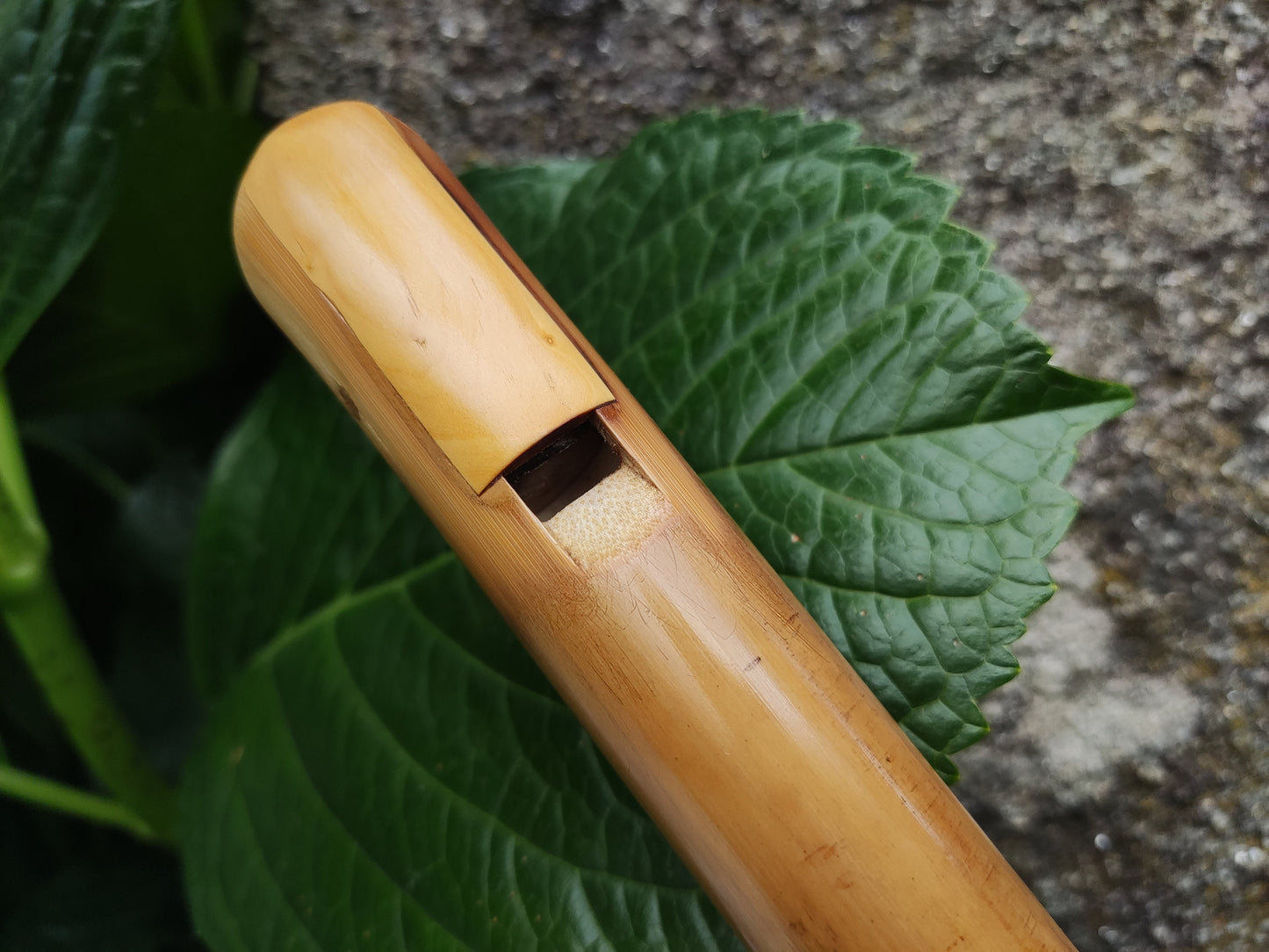 RESERVED for Agnieszka: Low A Bamboo Whistle in the Irish Style. Irish style whistle in the key of A, handmade out of bamboo