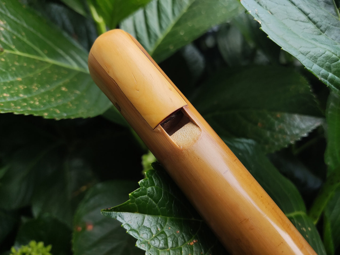 RESERVED for Agnieszka: Low A Bamboo Whistle in the Irish Style. Irish style whistle in the key of A, handmade out of bamboo