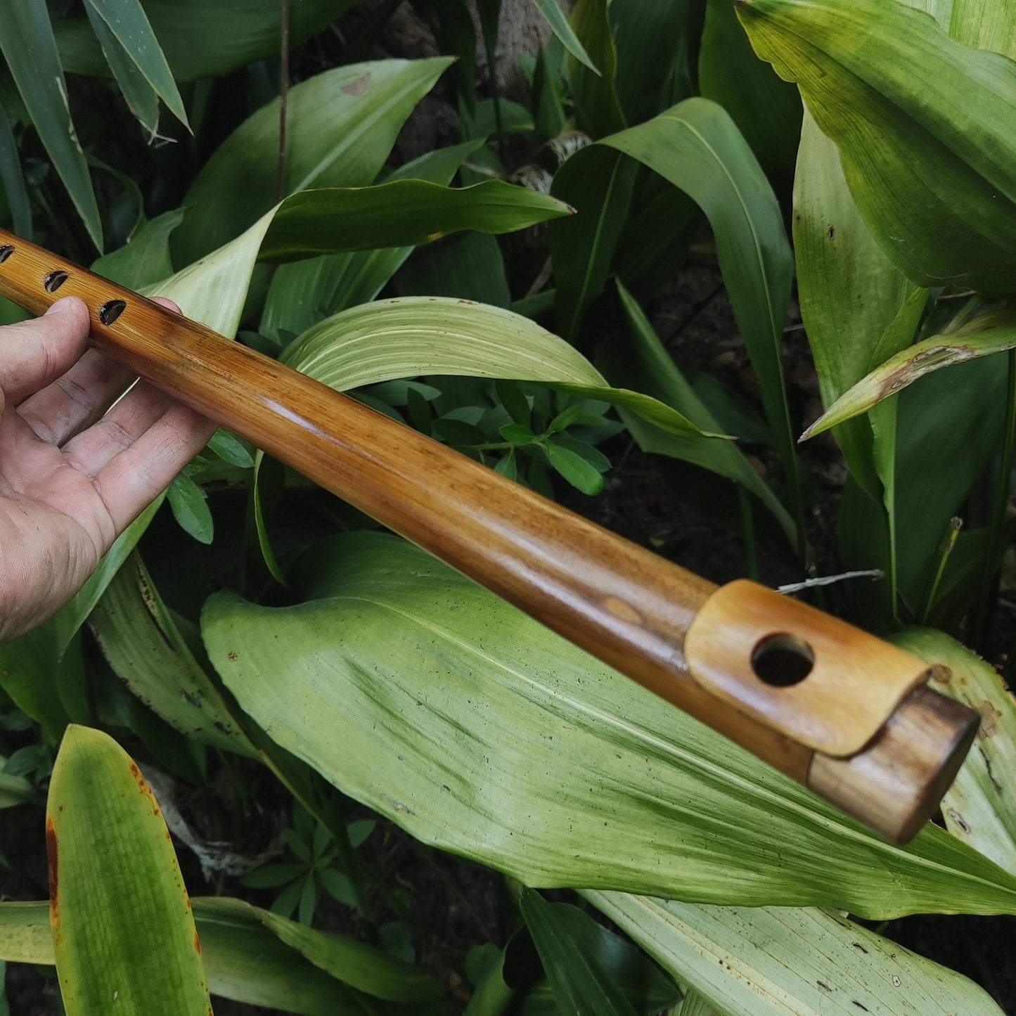Low D Irish-style Bamboo Flute with a lip plate. Concert tuned handmade flute inspired by the Irish Flute