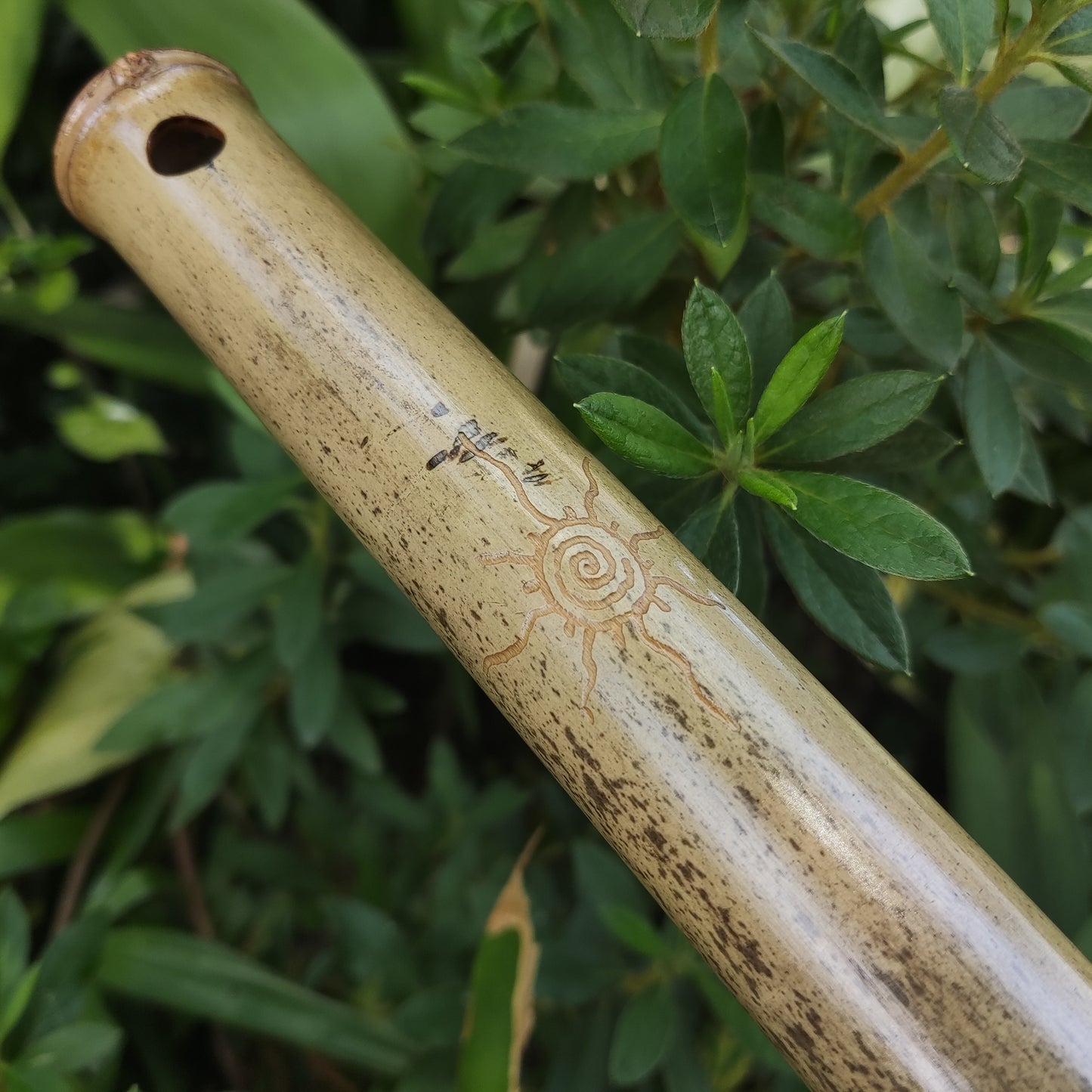 Flute Set: Low B Akebono Flute and Low D Hijaz Flute