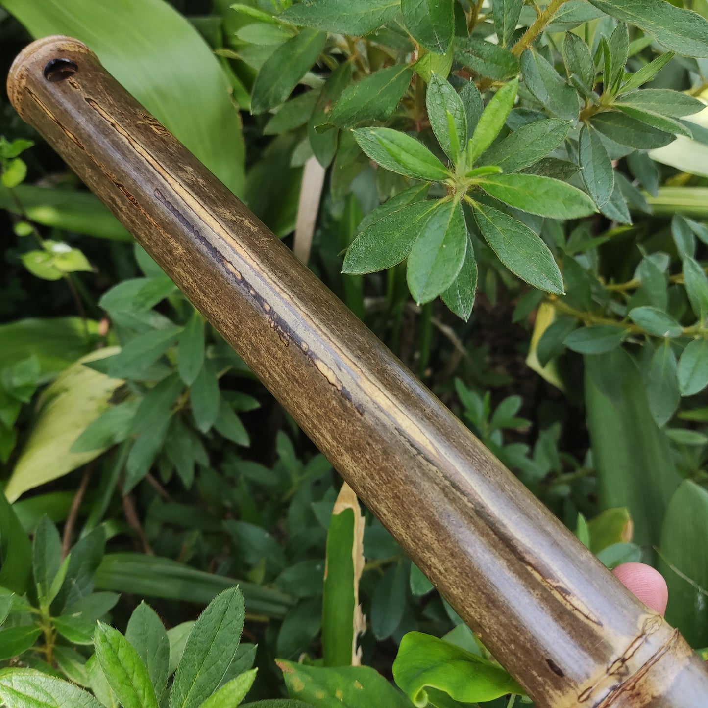 Flute Set: Low B Akebono Flute and Low D Hijaz Flute