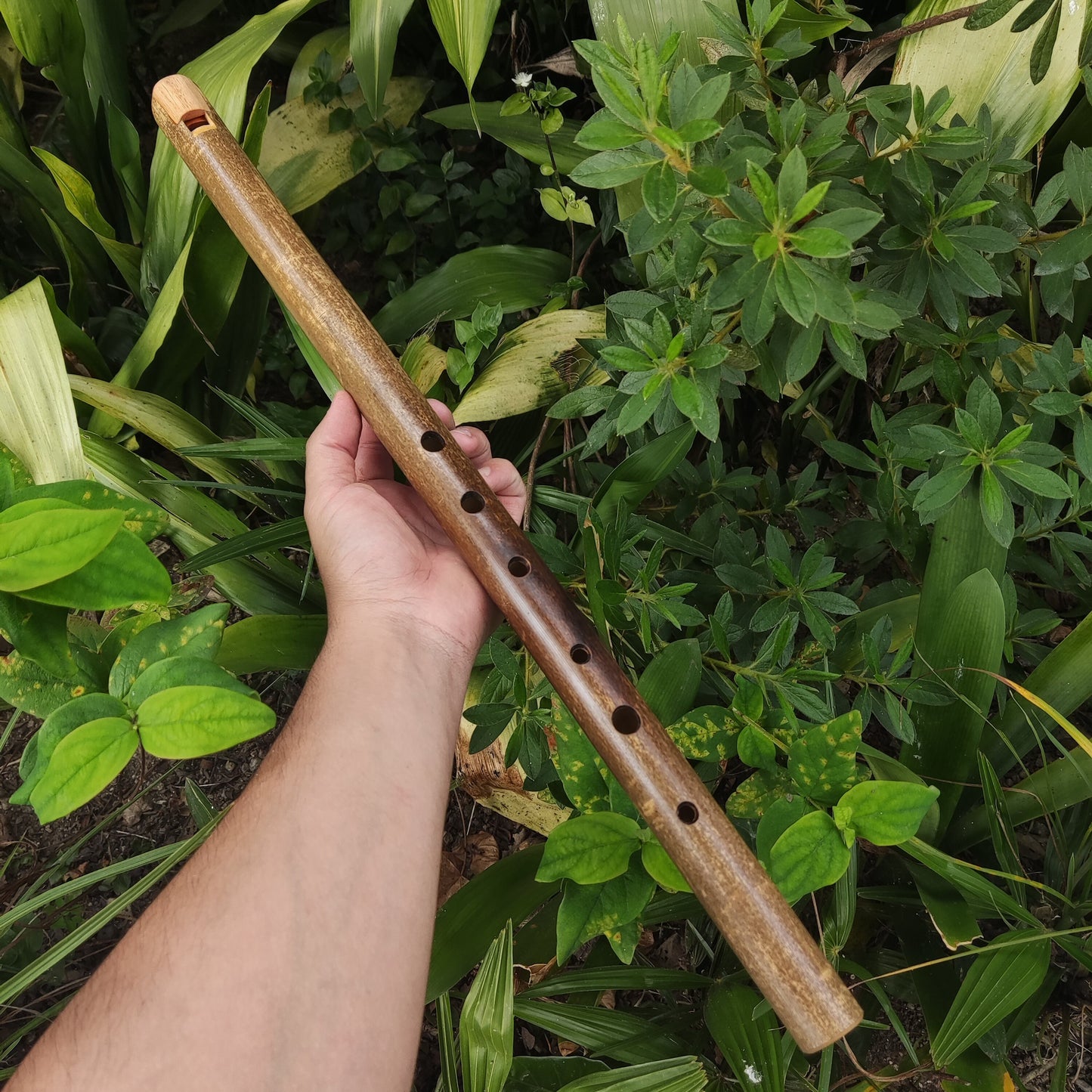 For Dustin: Low Eb Whistle and F Hijaz Flute, both in A432HZ