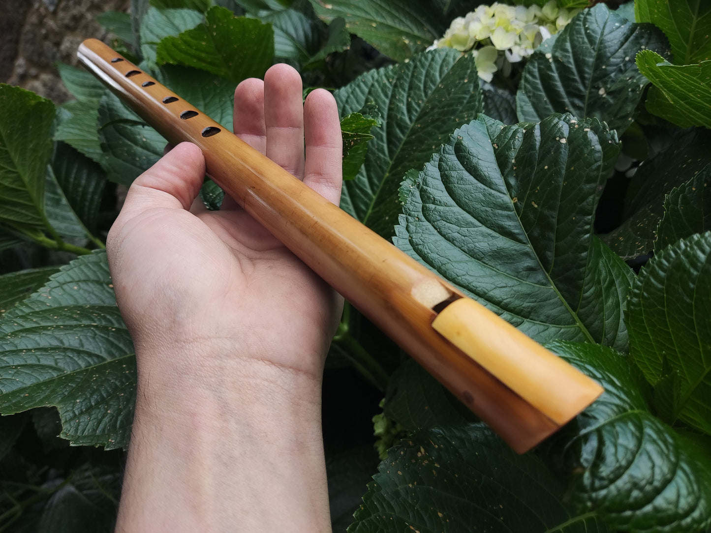 RESERVED for Agnieszka: Low A Bamboo Whistle in the Irish Style. Irish style whistle in the key of A, handmade out of bamboo