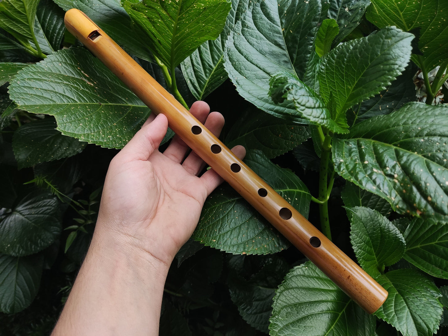 RESERVED for Agnieszka: Low A Bamboo Whistle in the Irish Style. Irish style whistle in the key of A, handmade out of bamboo