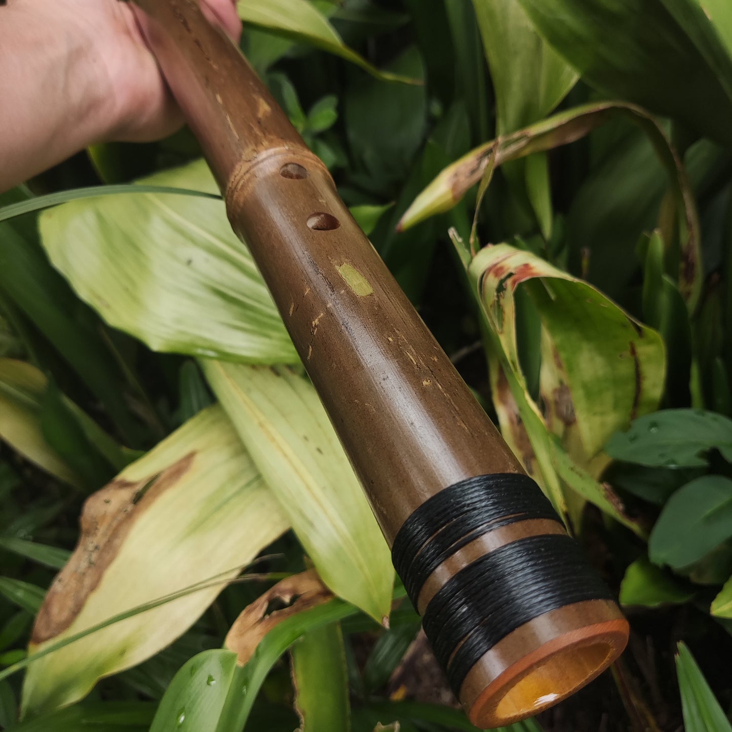Akebono Bamboo Flute in the key of low G# | Deep Meditative Flute with a Rustic oriental design. Asian Scale with a transporting voice